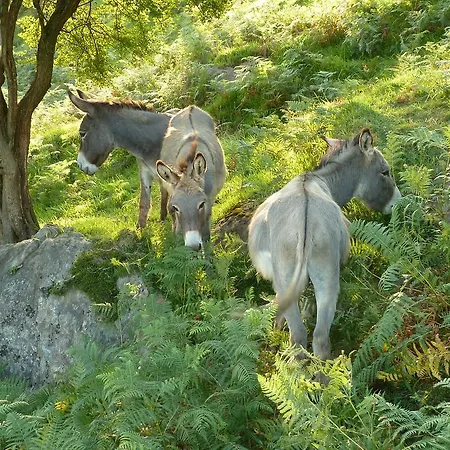 Arbegain Etxea アパート *