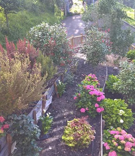 Apartment Arbegain Etxea